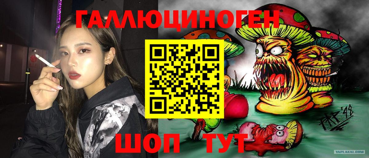 Псилоцибиновые грибы GOLDEN TEACHER Саки