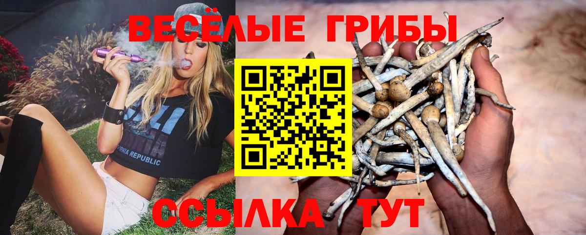 Галлюциногенные грибы Psilocybe Саки